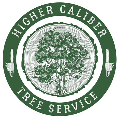 Higher Caliber Logo Circle White Footer